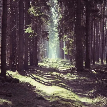 Dom wakacyjny Ferienhaus Drewitz Drewitz