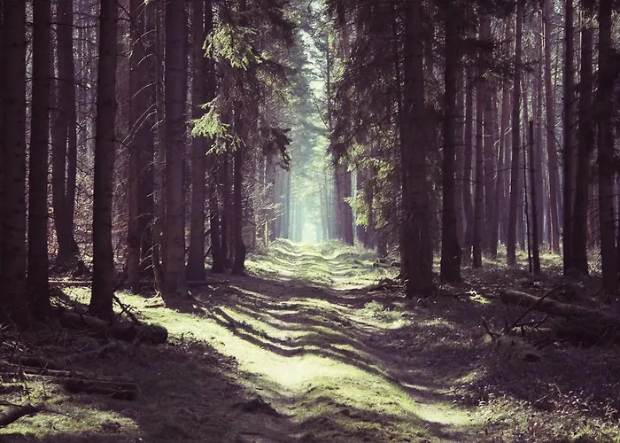 Nyaraló Ferienhaus Drewitz Drewitz