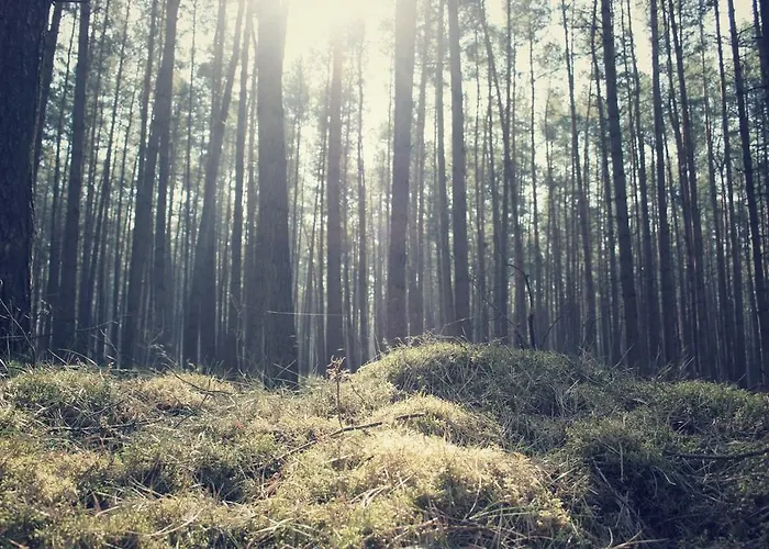 Nyaraló Ferienhaus Drewitz *